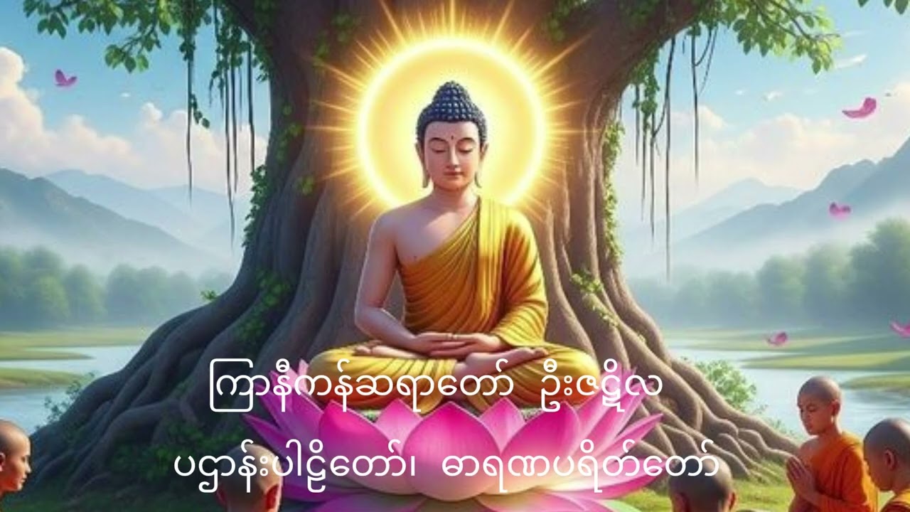 ကြာနီကန်ဆရာတော် ဦးဇဋိလ ပဌာန်းပါဠိတော်၊ ဓာရဏပရိတ်