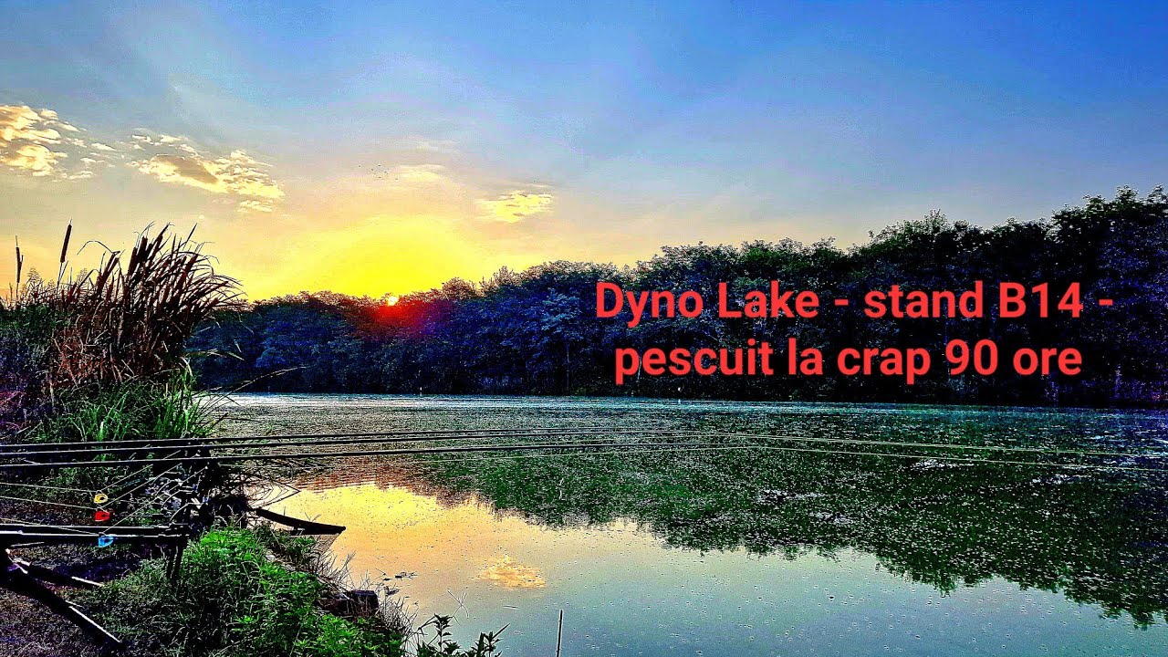 Dyno Lake - stand B14 - pescuit la crap   /           #wlc #red #redsquid #crap #spp #dynolake #carp