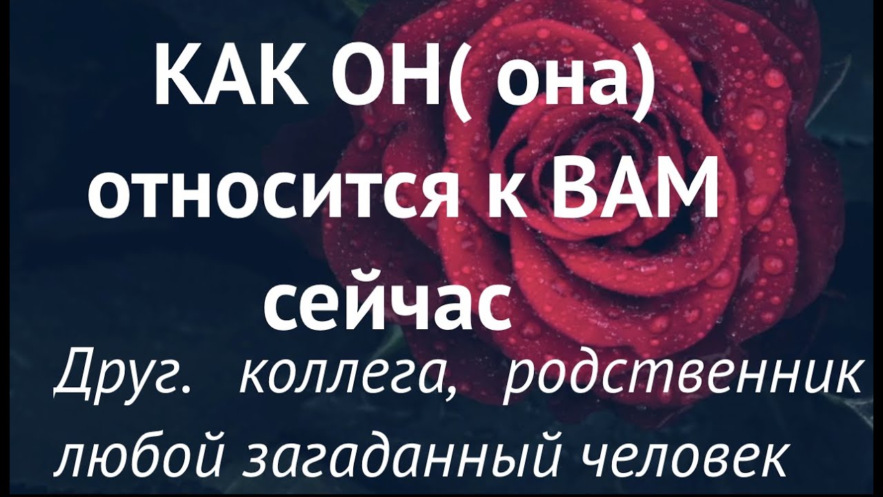 КАК относится к ВАМ сейчас загаданный человек‼️Гадание на Таро он-лайн /Таро /Тиана Таро