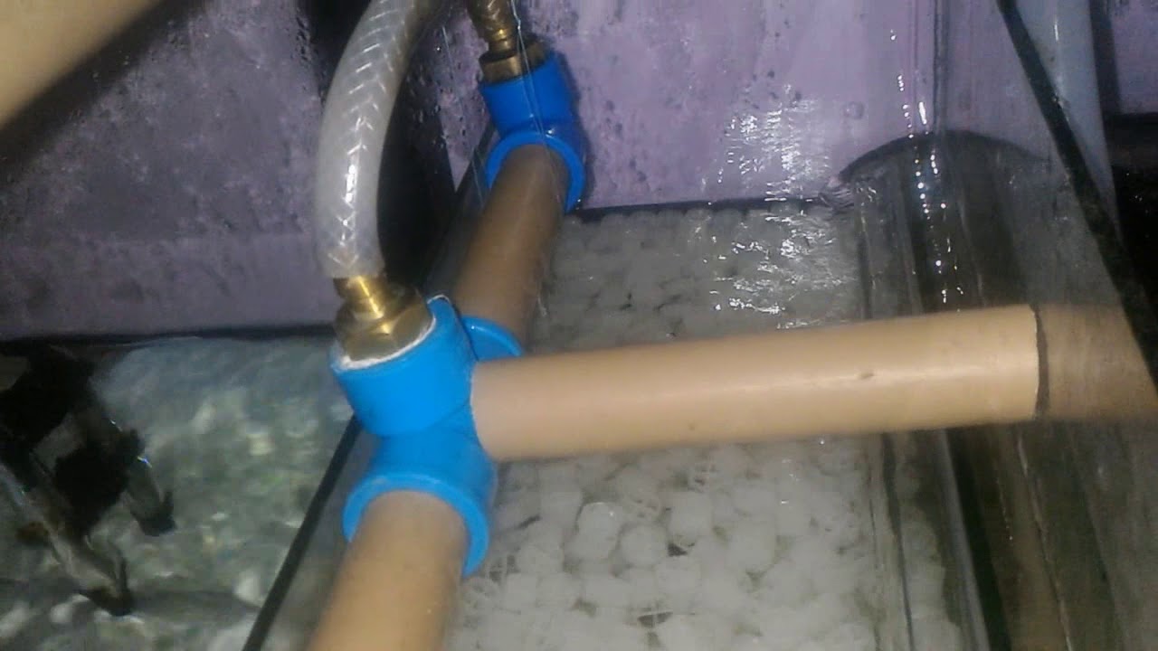 Sump com K1 (Bio Midia)