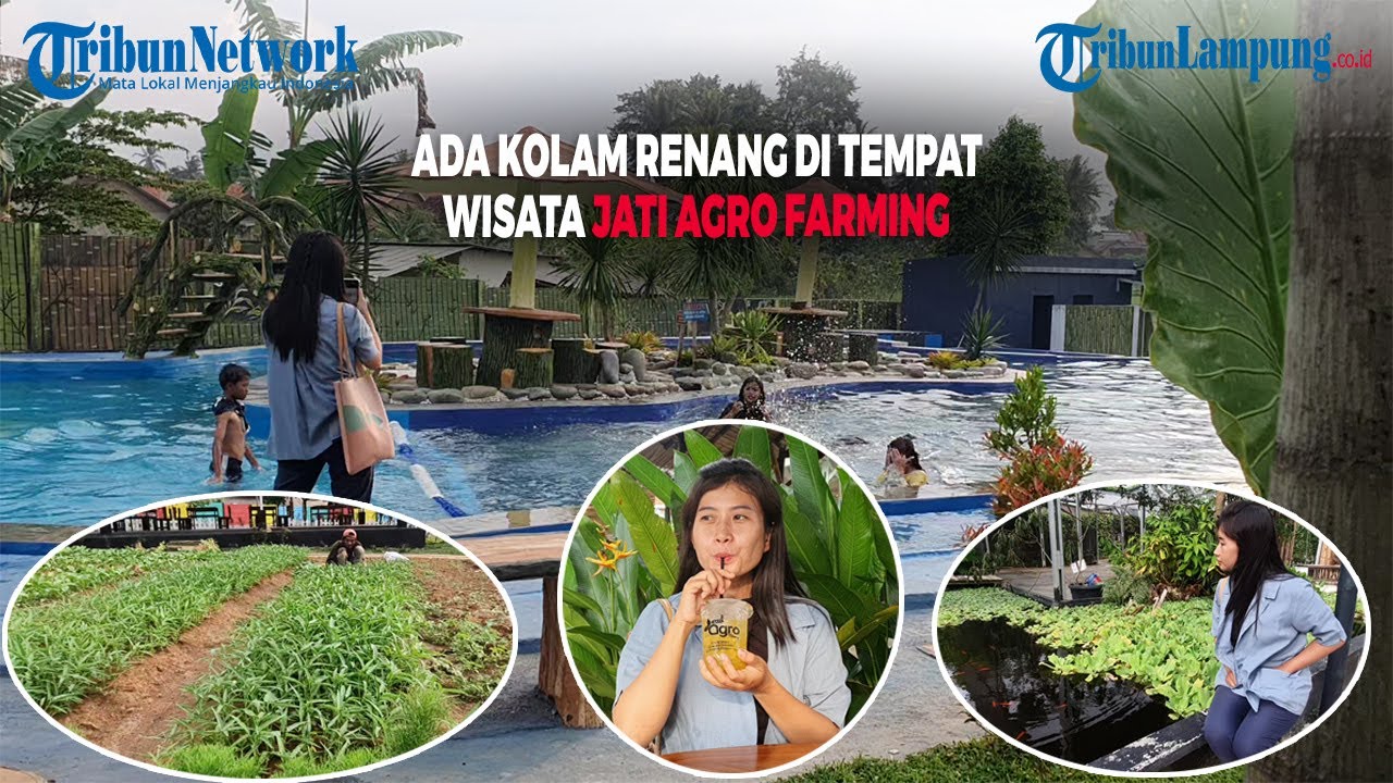 Kolam Renang di Tempat Wisata Jati Agro Farming Lampung Selatan Sudah Dibuka, Tiket Cuma Rp 5 000