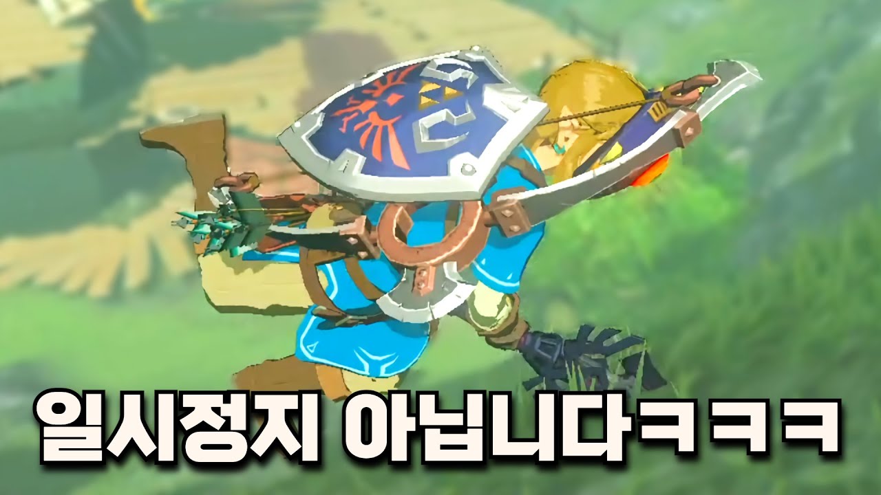 [제보 영상] 마법 빗자루를 탄 링크