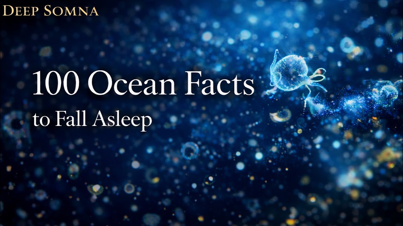 Deep Ocean Secrets — Gentle Science Documentary for Sleep