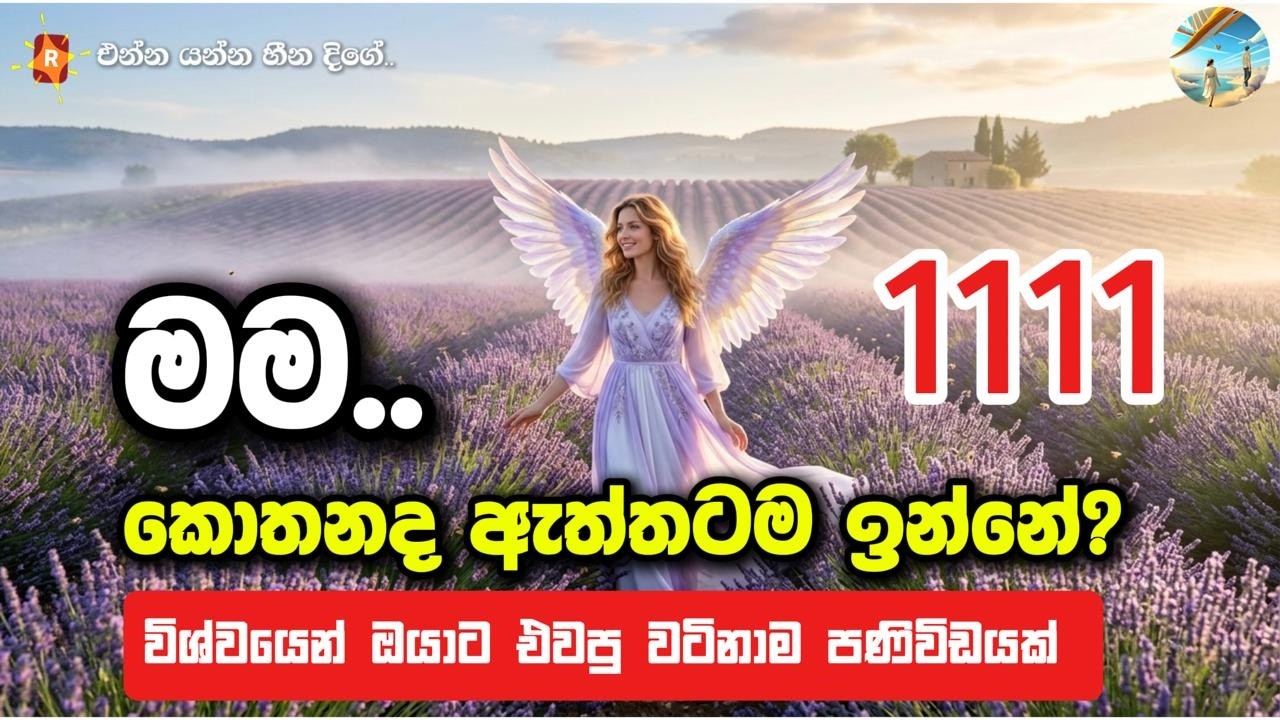 මාර්තු 12 විශ්ව පණිවිඩය. මම කොතනද ඇත්තටම ඉන්නේ? කැලේ දුවන හිලෑ නැති අස්සයව ඔයත් අල්ලගන්න යාලු කරගන්න