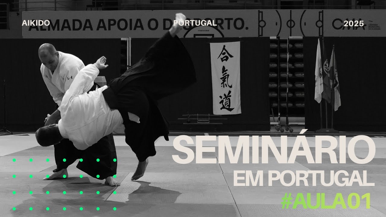 Atitude correta ao fazer UKEMI (variação de Irimi Nage) - Seminário em Portugal