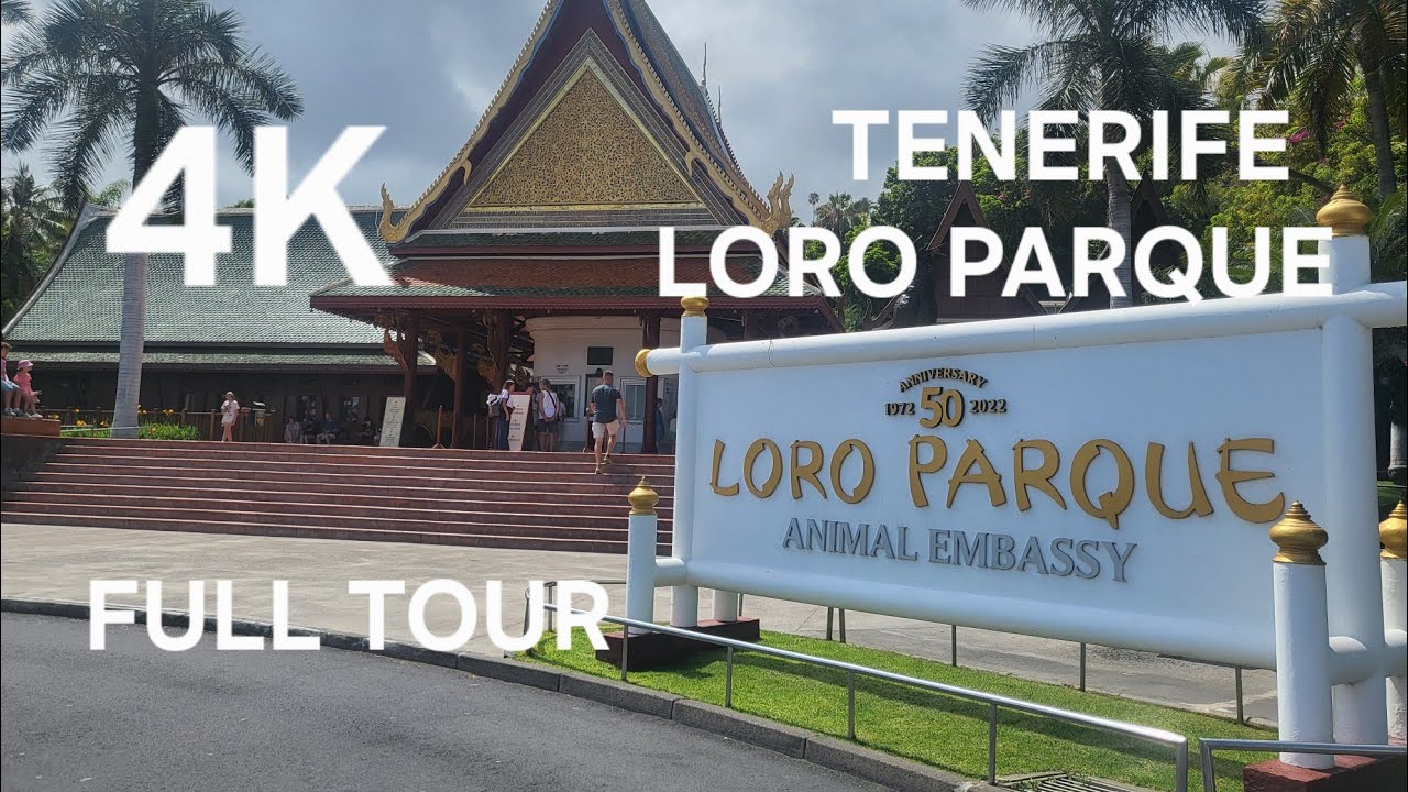 4K LORO PARQUE ZOO FULL TOUR | TENERIFE | PORTO DE LA CRUZ | Never Give Up