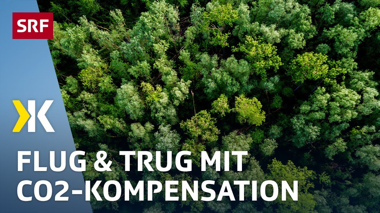 Greenwashing: Der Bluff mit den CO2-Kompensationen | Reportage 2021 | Kassensturz | SRF