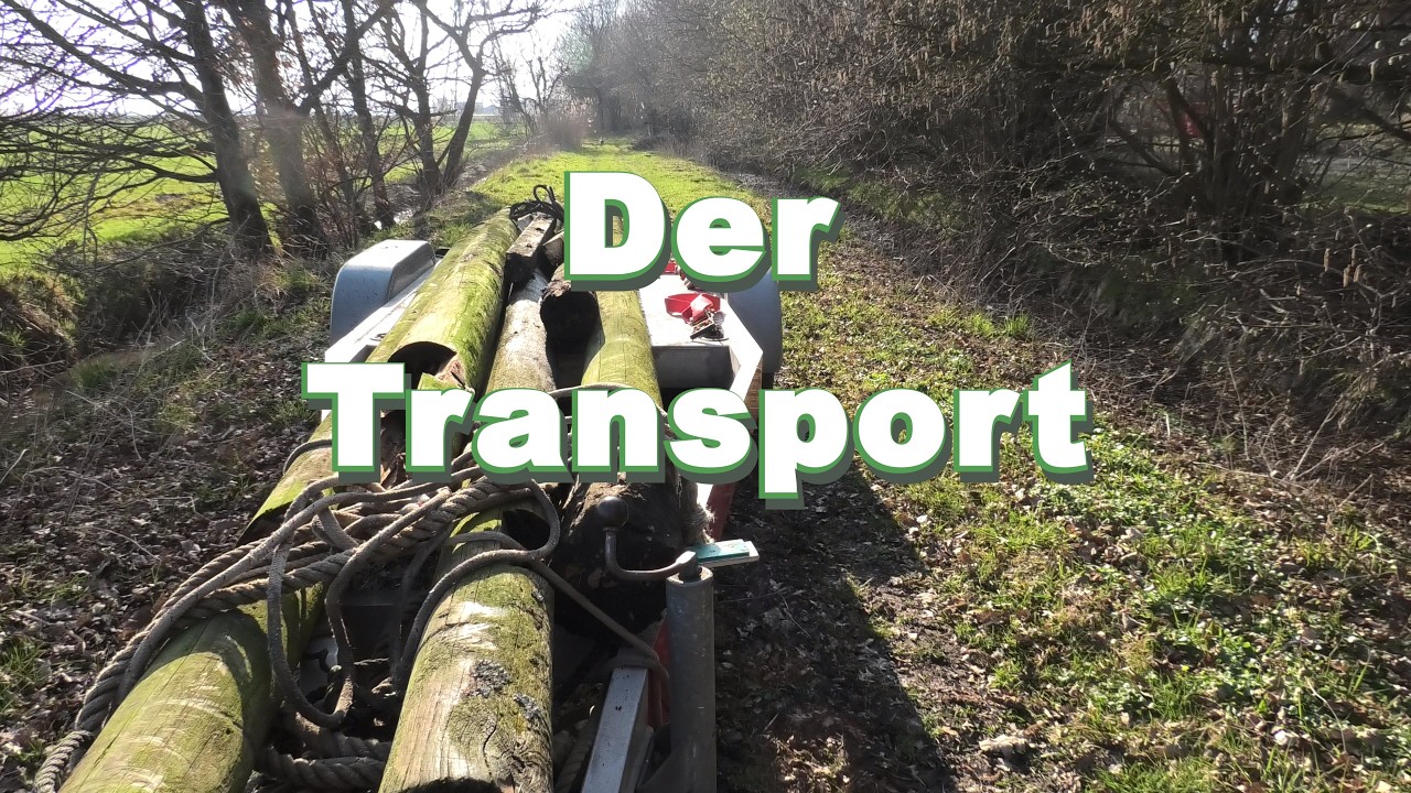 Transport der St&auml;mme mit Tieflader