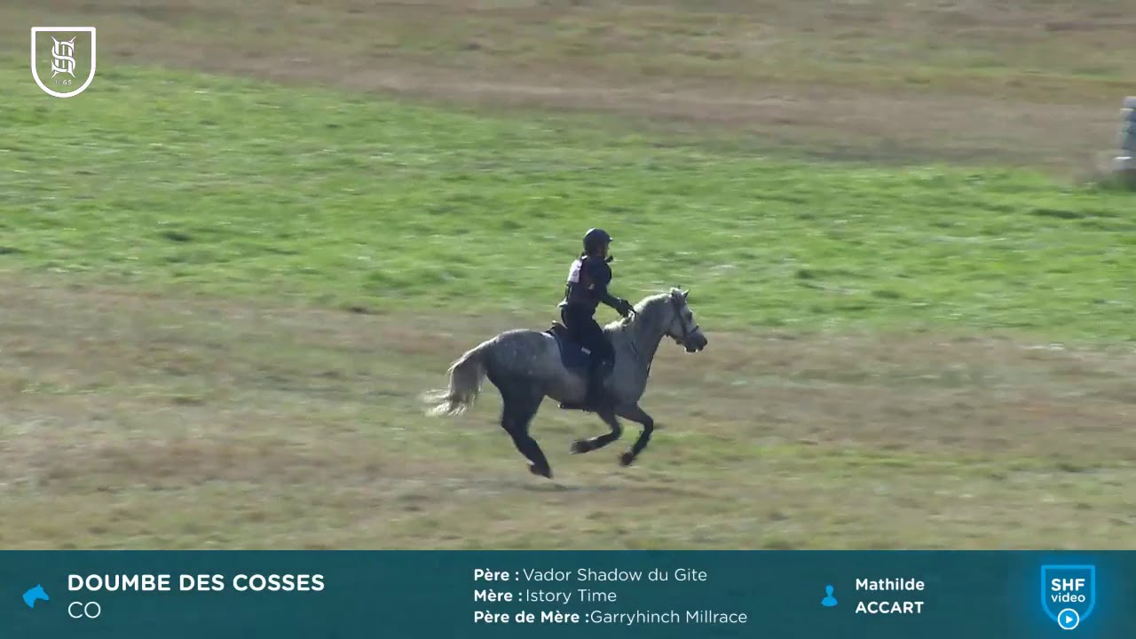 Pompadour 2019 - Cross - DOUMBE DES COSSES, Champion Poney 6 ans