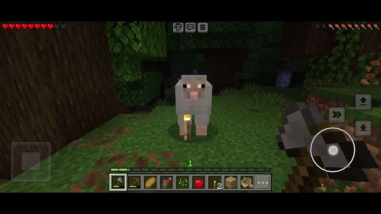 Düz yol minecraft