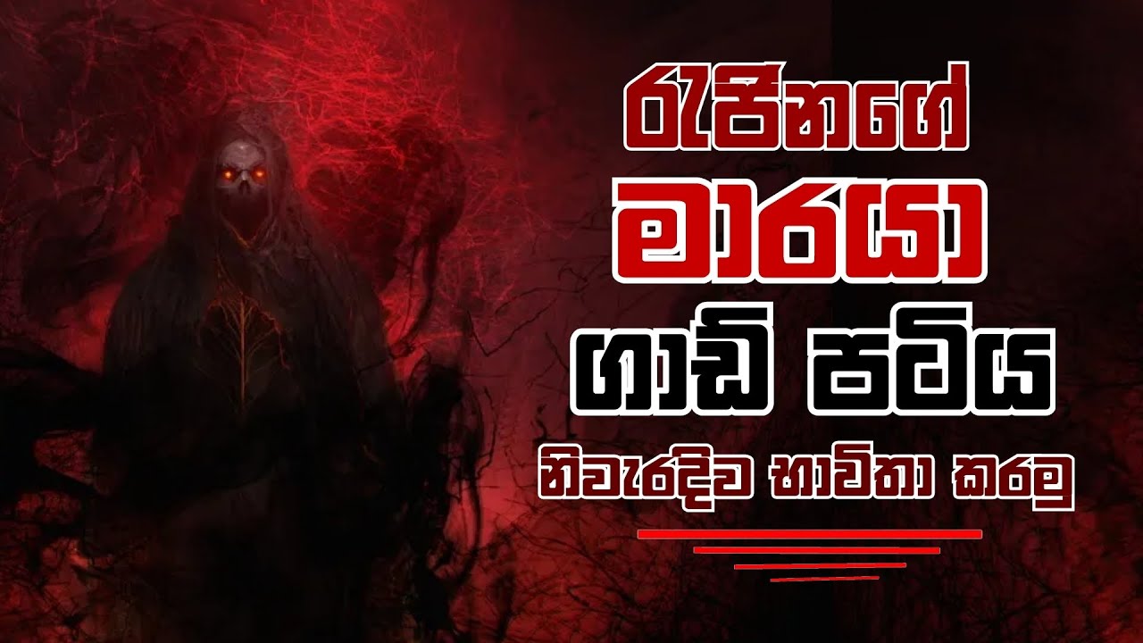 මී මැසි ජනපදයකට ගාඩ් පටිය නිවැරදිව භාවිතා කරන්නේ කෙසේද? | How to use the queen guard on bee hive?