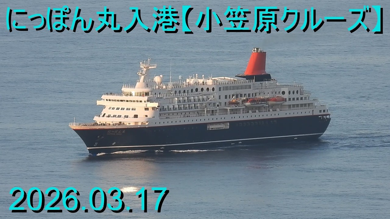 にっぽん丸入港【小笠原クルーズ】2026.03.17 Ver.2
