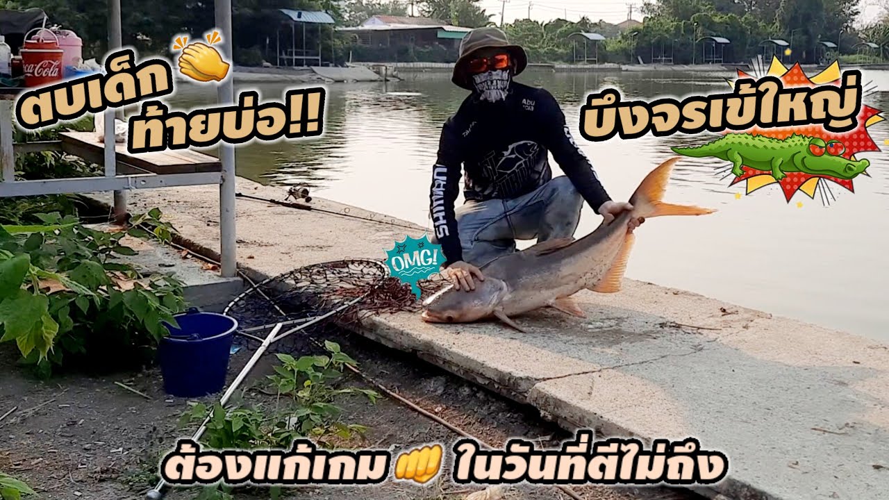 ตกบึก
