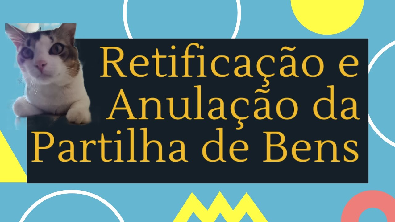 Retificação e Anulação da Partilha de Bens | Série: Partilha de Bens | Vídeo: 04