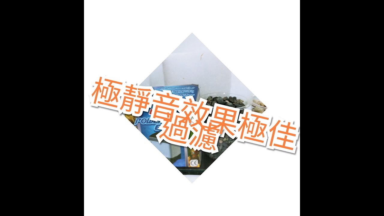 輕鬆養孔雀魚  (日常水族) 仿上部過濾極靜音怕吵福音