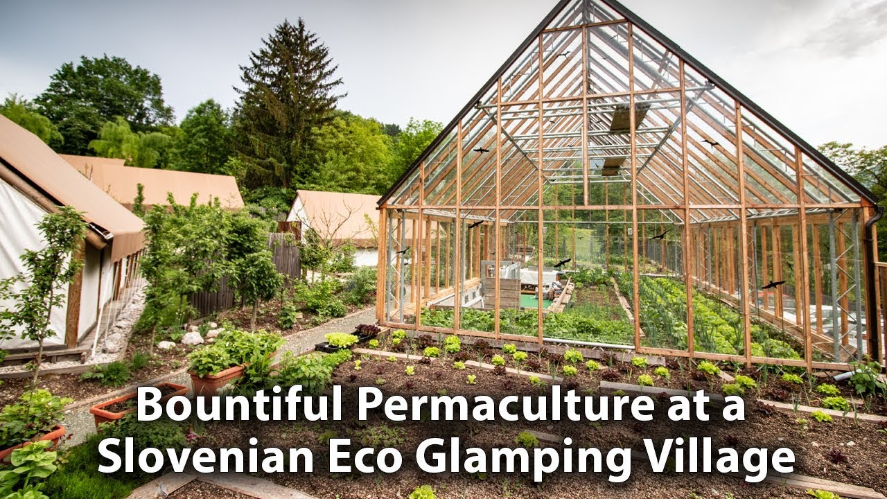 Inspirational Permaculture in Slovenia | Food Forest in an Eco Glamping Village