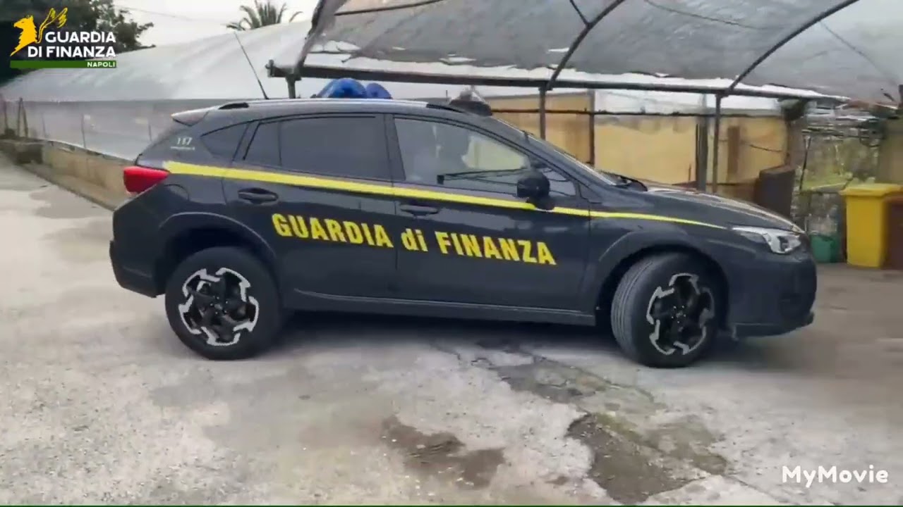 GdiF NAPOLI: SEQUESTRATI ANIMALI DETENUTI IN PESSIME CONDIZIONI IGIENICO-SANITARIE. 