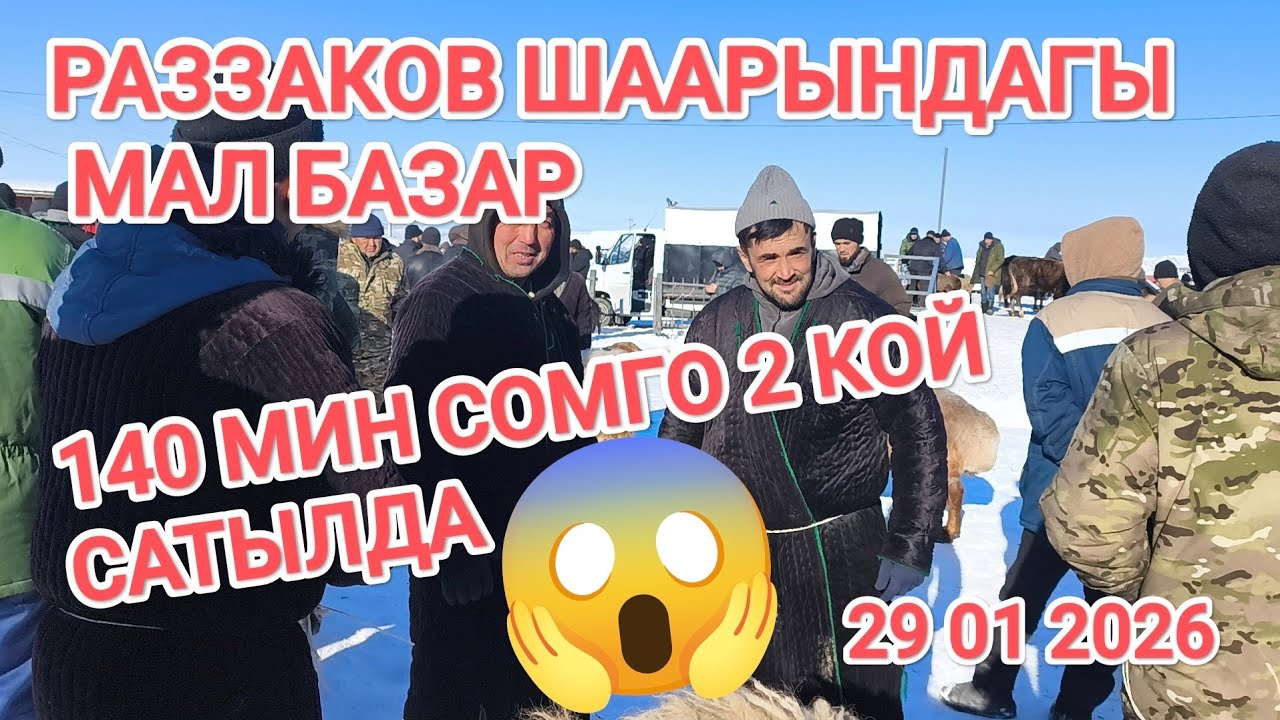 РАЗЗАКОВ ШААРЫНДАГЫ МАЛ БАЗАР 29 01 2026