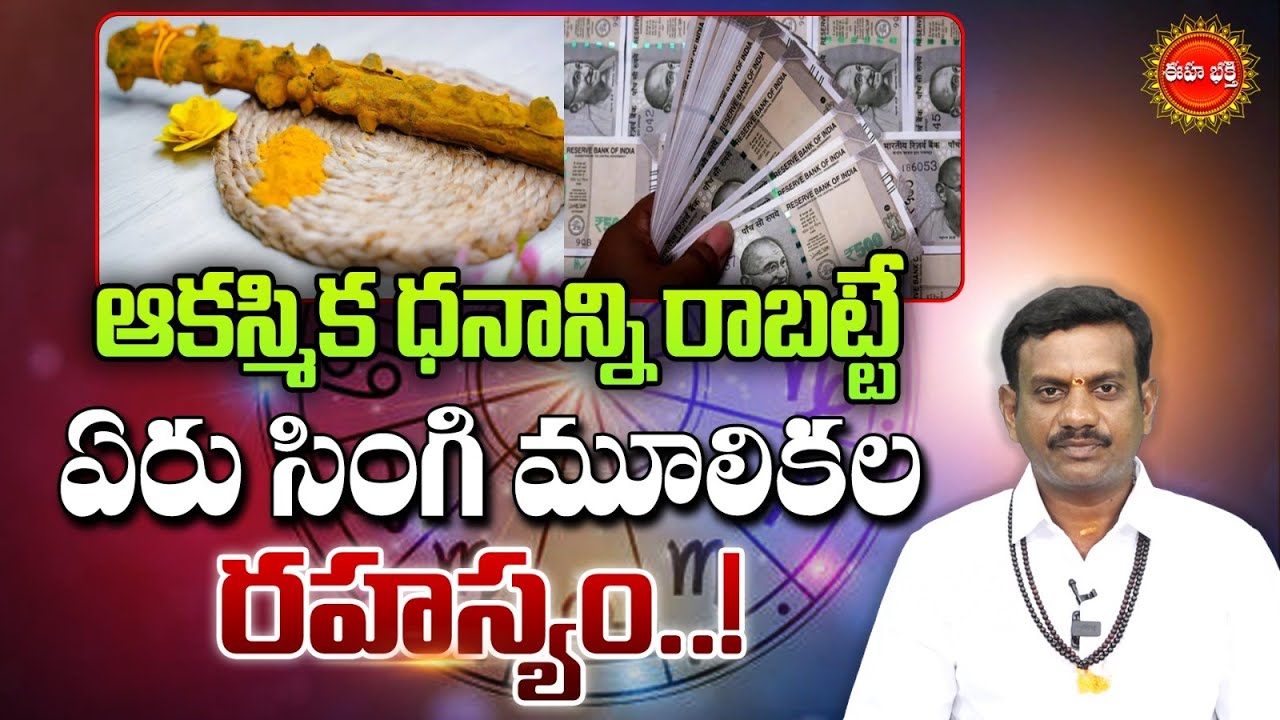 Tantra Jyothisham | ఆకస్మిక ధనాన్నిరాబట్టే ఏరు సింగి మూలికల రహస్యం.! | Yeru Singi | Eha Bhakthi