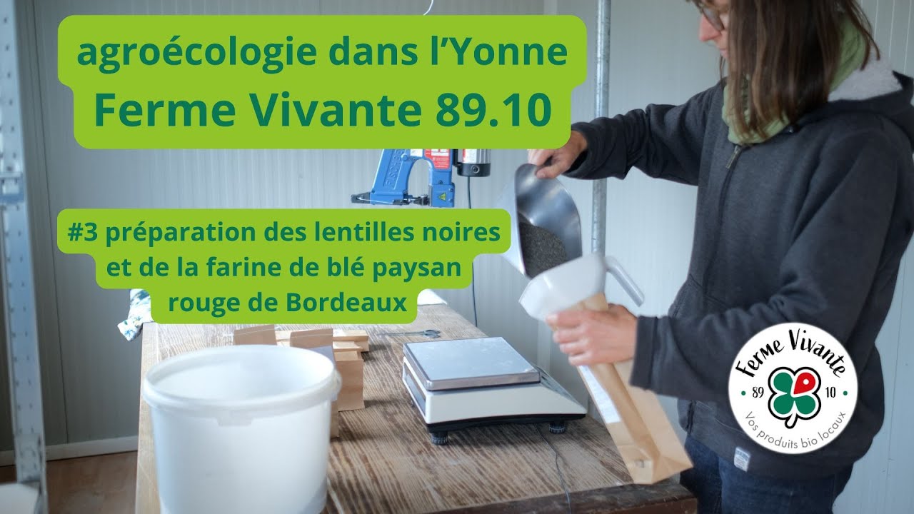 Lentilles noires bio et farine de blé paysan rouge de Bordeaux : la Ferme Vivante (Yonne) #3
