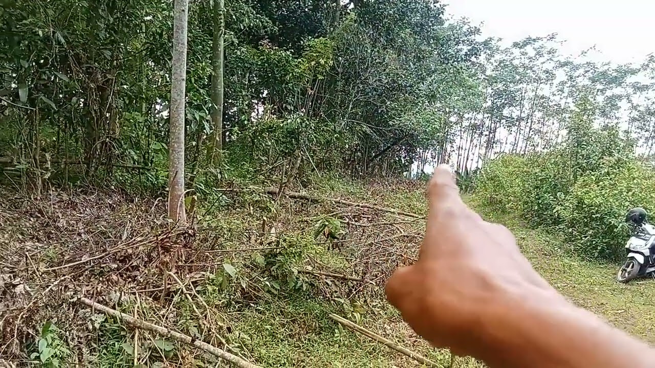 Di jual lahan lt 8000mtr st girik SPPT jual cepat 60rb turun harga pas buat ternak kebun 