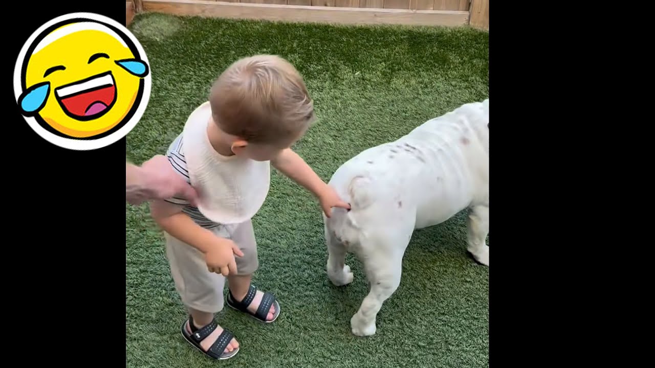 Laugh Out Loud! The Funniest Real-Life Moments #75hardchallenge