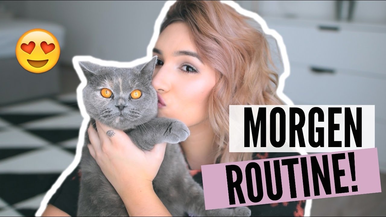 MORGEN ROUTINE - CAT EDITION! | ⓀⒹ