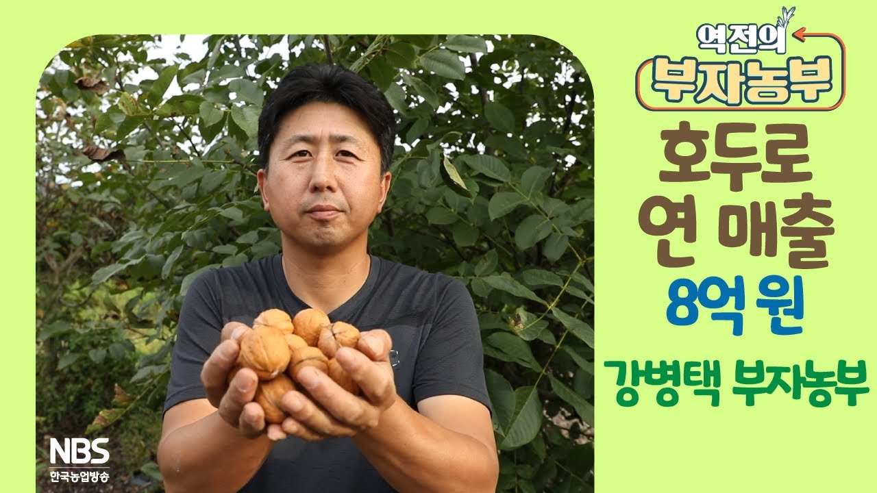 [역전의부자농부 275회] 호두로 연 매출 8억 원! 충북 옥천 강병택 부자농부