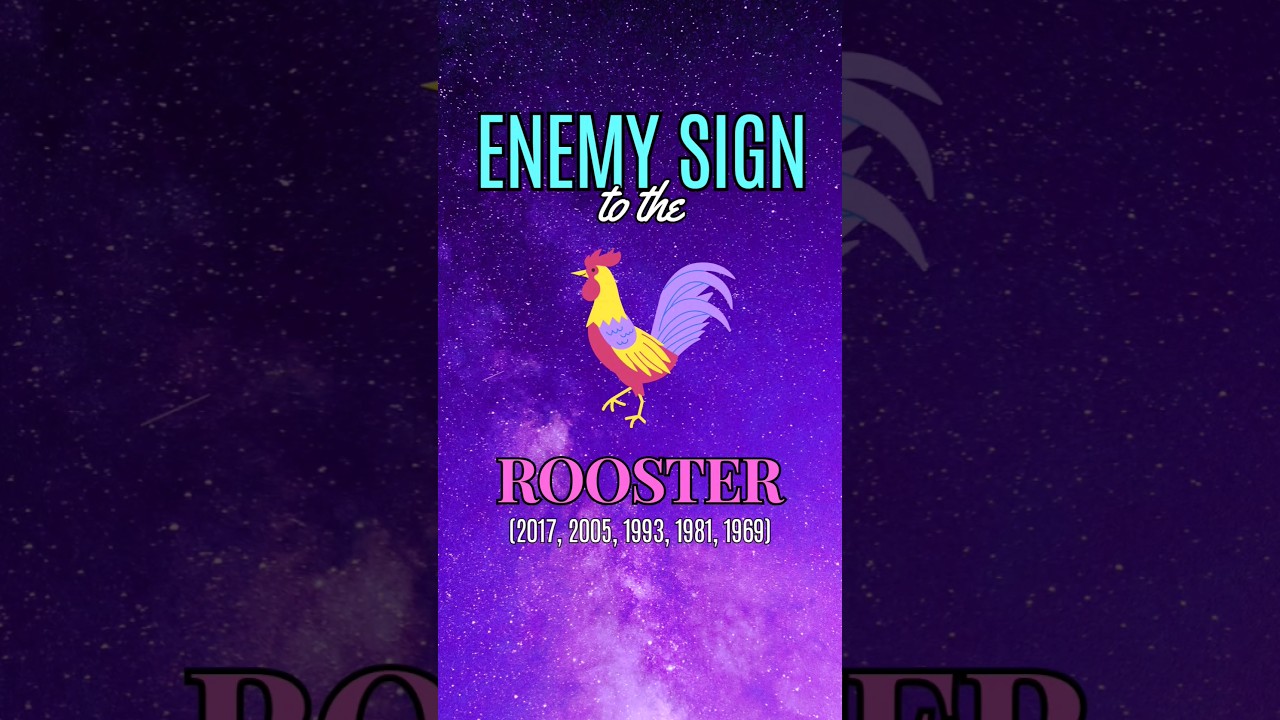Year Of The Rooster Chinese Zodiac enemy #numerology #chinesezodiac #astrology #rooster  #horoscope