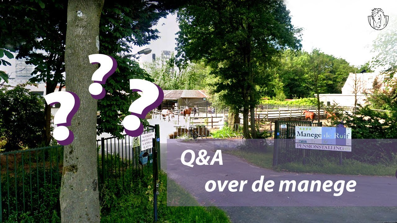 Q&A over de manege 😌 | manege De Ruif
