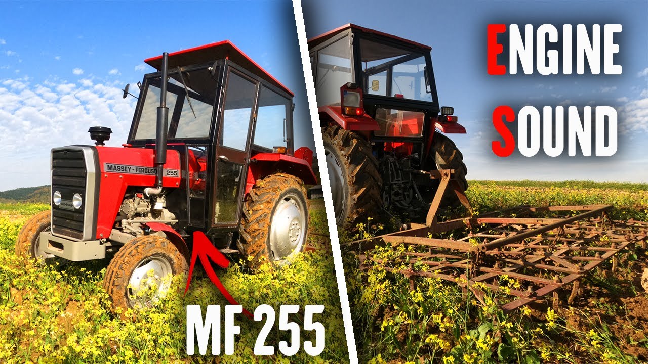 MASSEY FERGUSON 255 ENGINE SOUND!