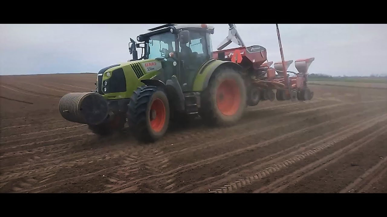 Siew kukurydzy 2023 | Claas Arion 430