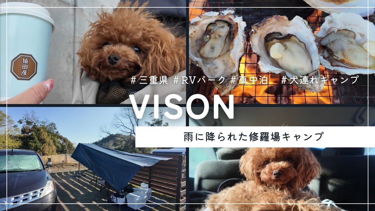 【VISON】RVパークで初めての車中泊【犬連れキャンプ】