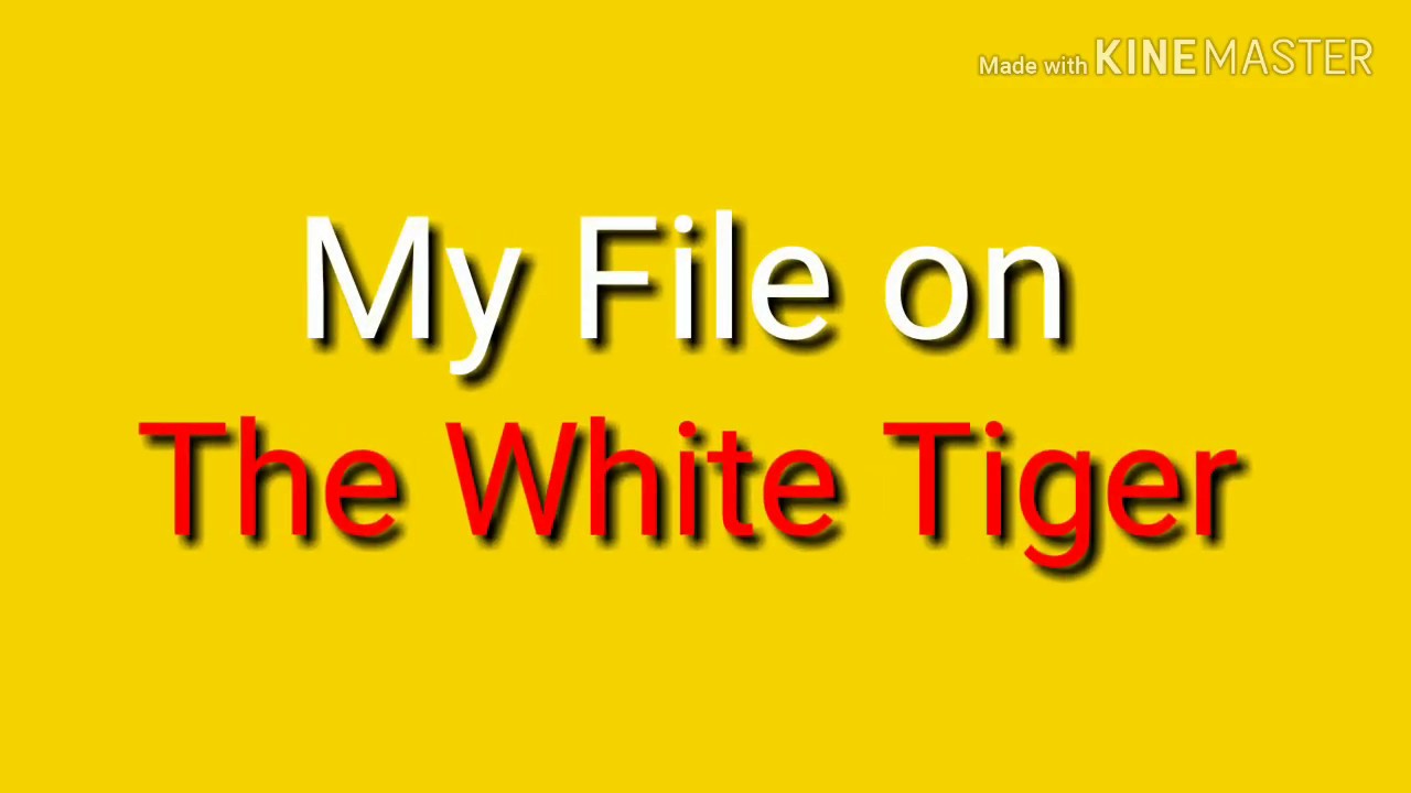 My project file on The White Tiger by Arvind Adiga | M.A. Literature.
