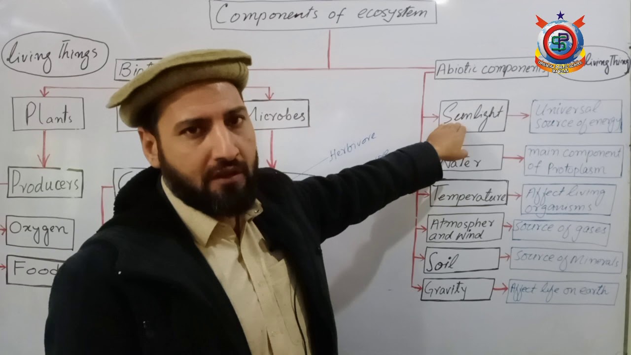 Class 10th Bio Lecture 46 Topic; Components of Ecosystem