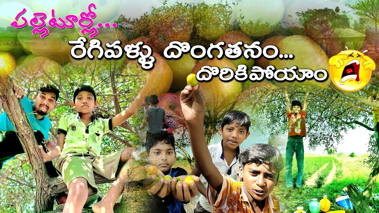 పల్లెటూర్లో రేగిపళ్ళ దొంగతనం 🥺🥺 Telugu Vlogs | Village Vihari