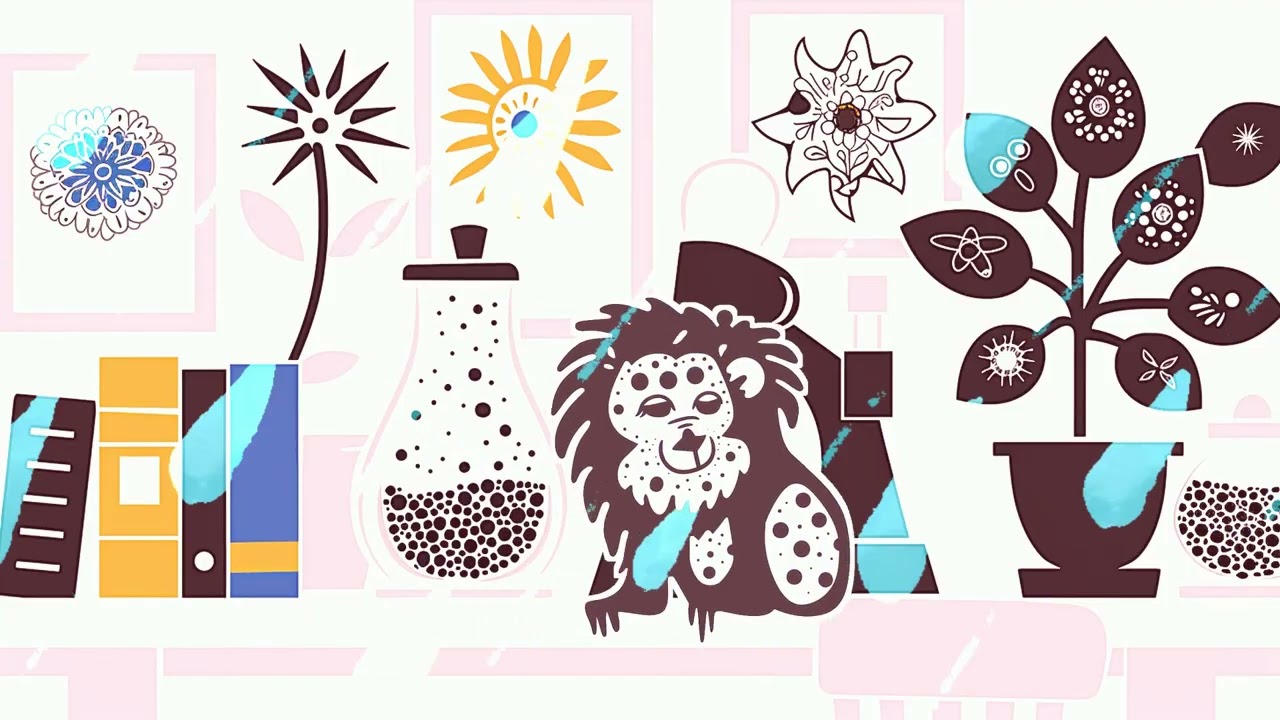 High Contrast Sensory Video for Newborns