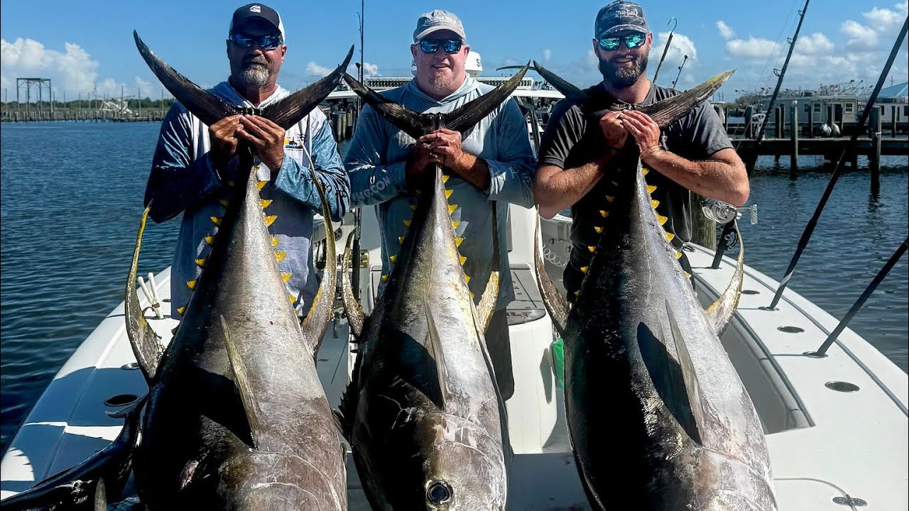 Massive Yellowfin Tuna Attack Bait Ball! Captain Kevin Beach Hooks Into Giants!