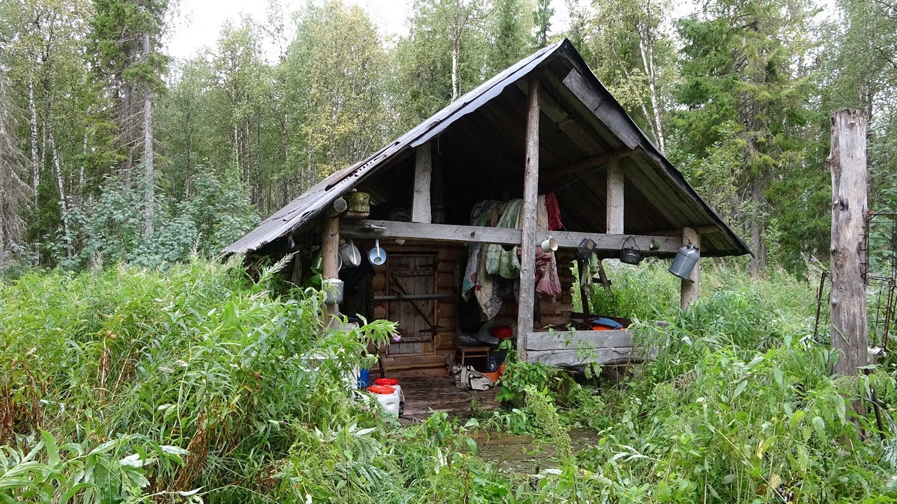 900 км по северным рекам. 24 дня один в тайге. Ч5. Рыбалка в Заполярье. Бешеный клёв окуня. Изба