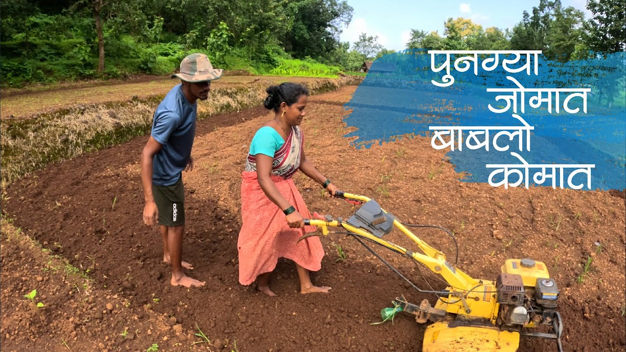 पुनग्या जोमात बाबलो कोमात | बोलाक पण नाय नी कामात पण ऐकत नाय | कोकणातील शेतकरी जीवन |ColoursOfKonkan