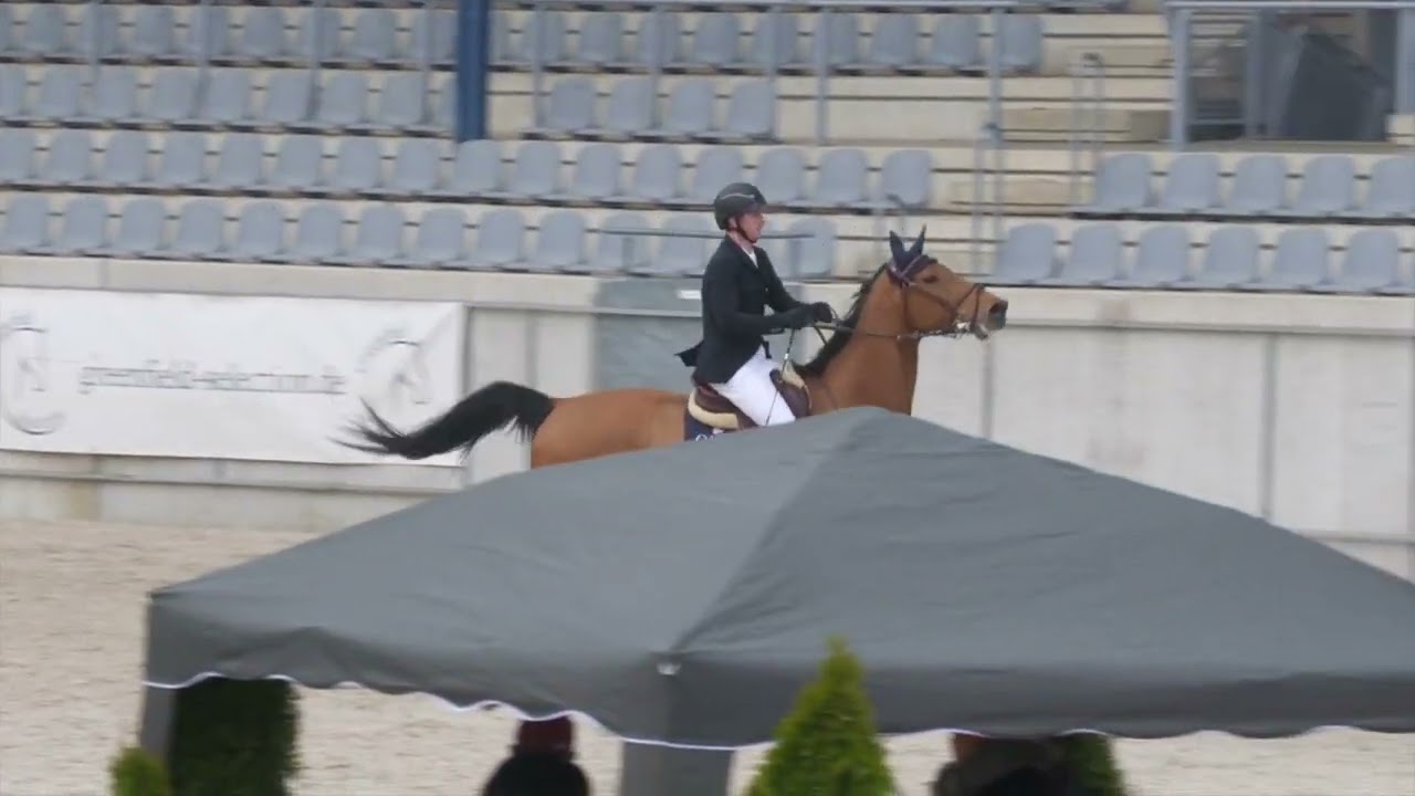 Cordasino - National Show Aachen, 20220406