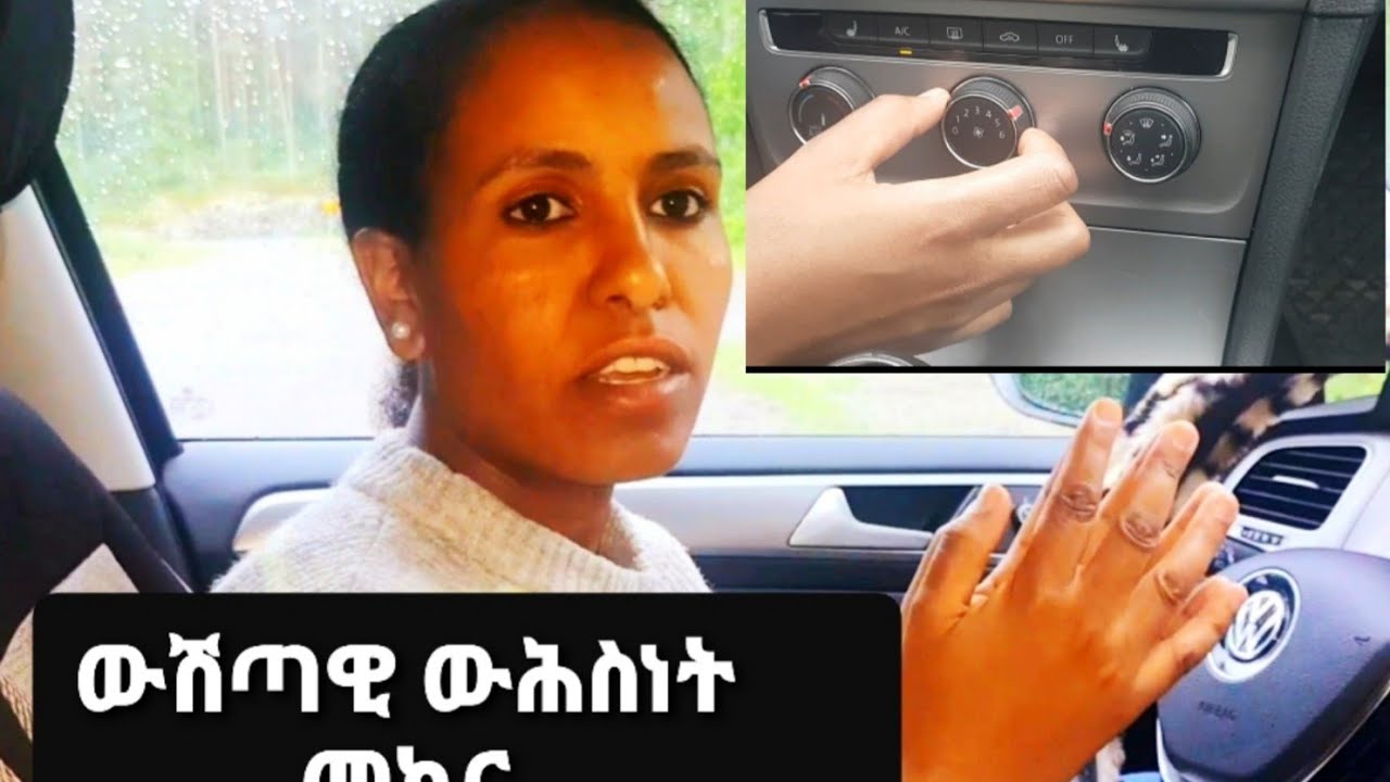 ውሽጣዊ ውሕስነት መኪና ትምህርቲ መኪና ን ሓበሻ።INTERNAL SECURITY CHECK FOR HABESHA. INRE SÄKERHETSKONTROLL.