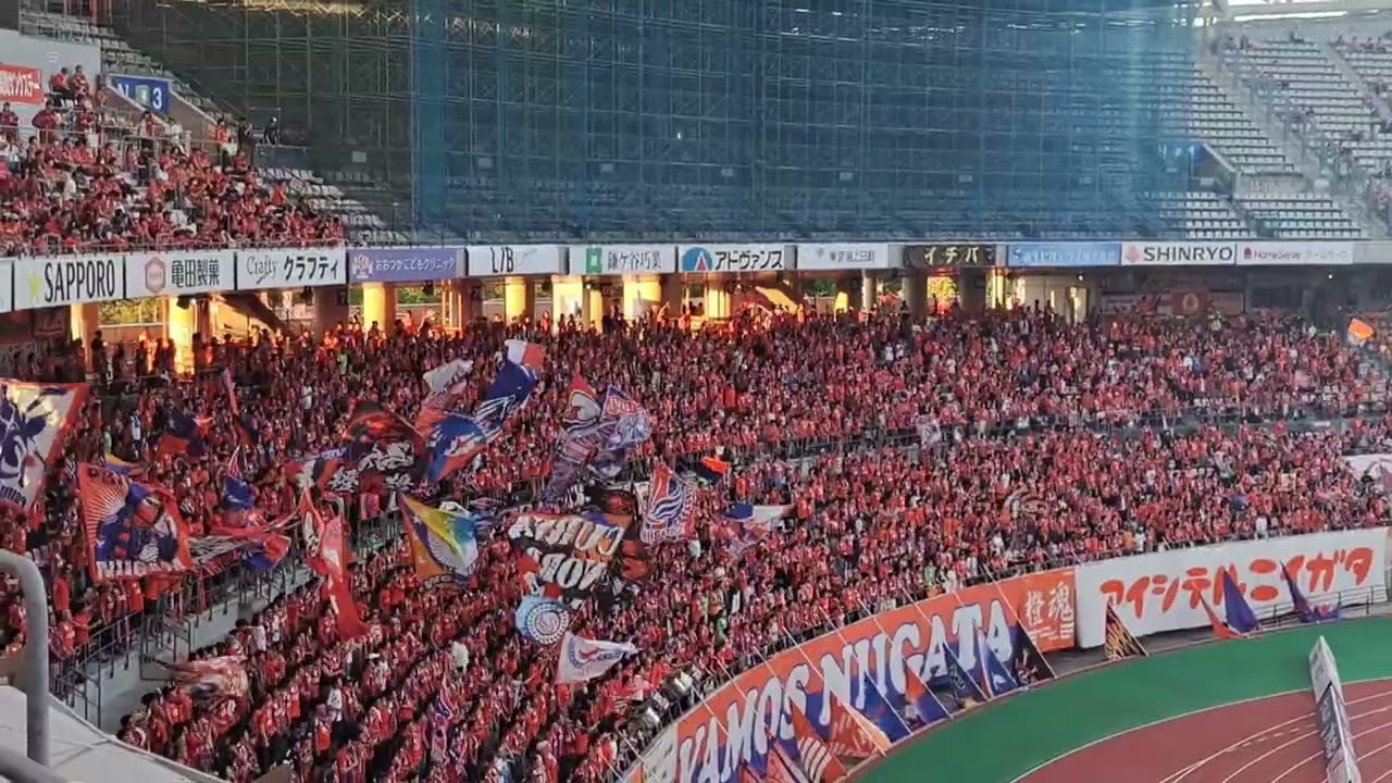 【アルビレックス新潟】広島戦　選手紹介～中央密集アイシテルニイガタ～選手チャント