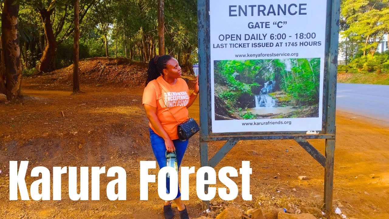 Karura Forest: Hiking Through Nairobi's Serene Caves & Waterfalls