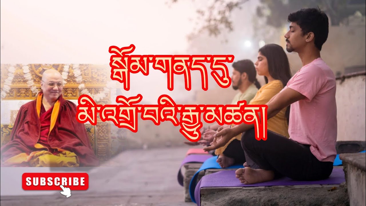 སྒོམ་གནད་དུ་མི་འགྲོ་བའི་རྒྱུ་མཚན། why you are not successful in meditation 