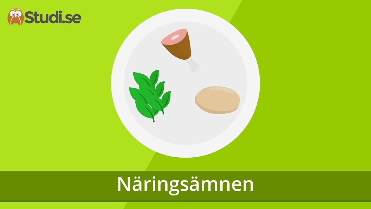 N&auml;rings&auml;mnen (Biologi) - www.binogi.se