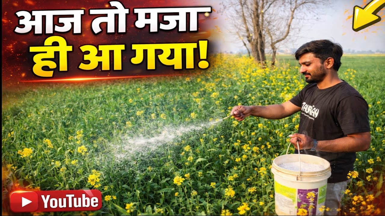 Aaj pure din kaam kiya 🤯