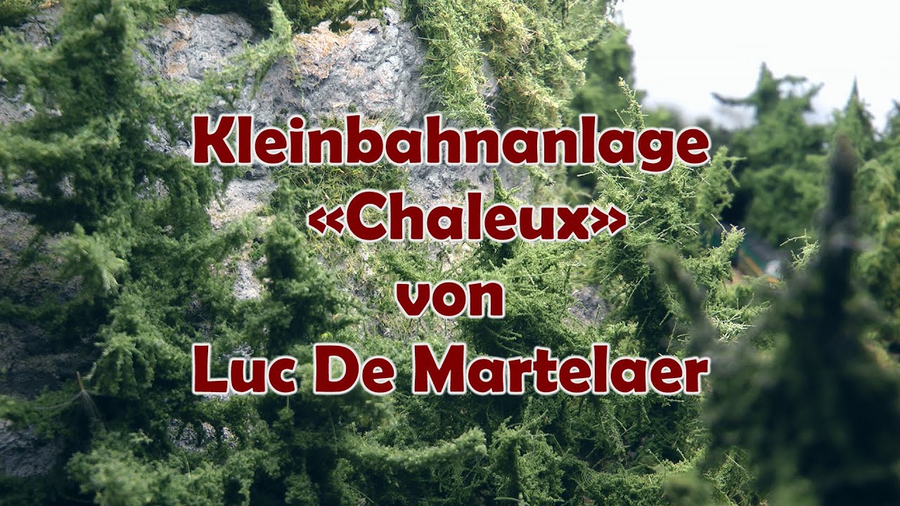 Spur N Modelleisenbahn: Wunderschöne digitale Kleinbahn-Anlage Chaleux von Luc De Martelaer