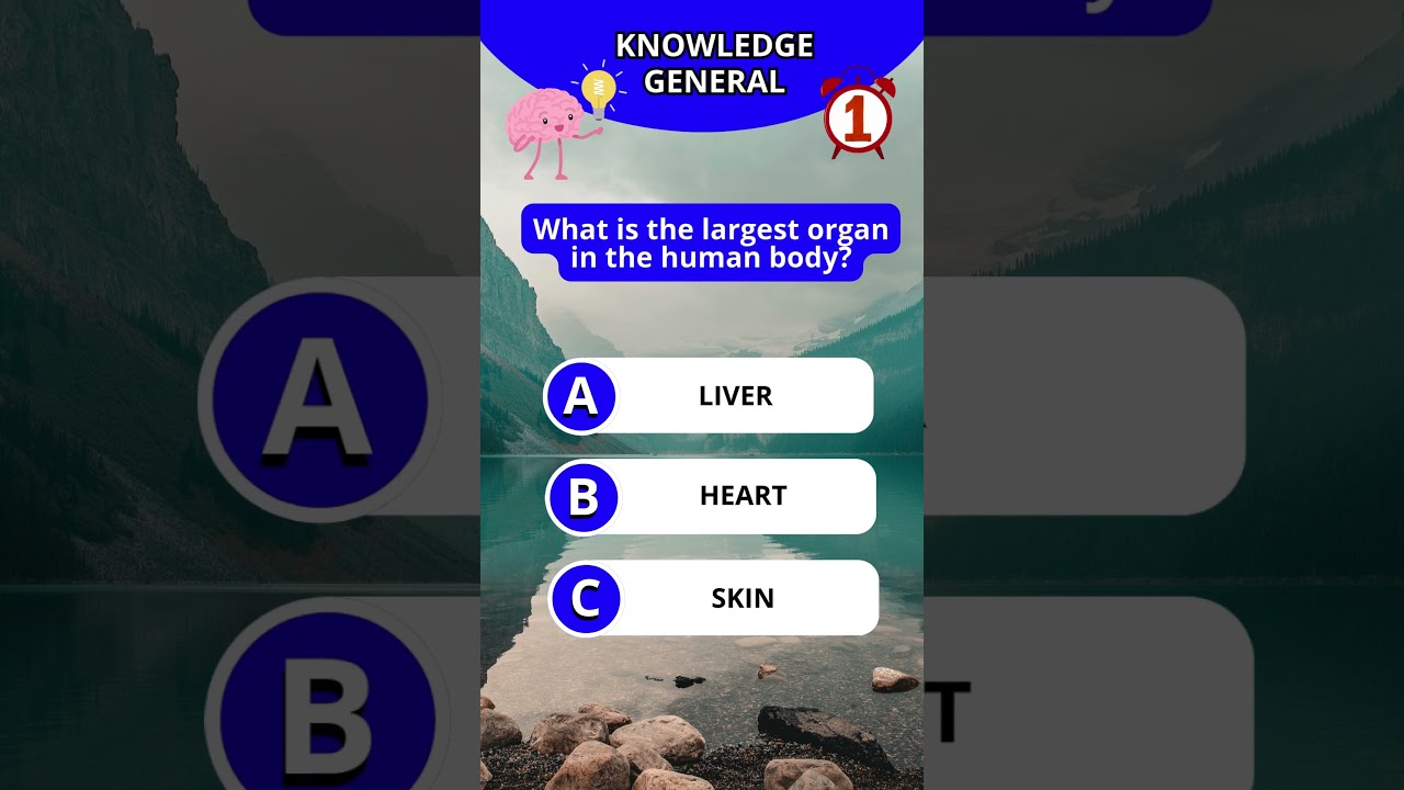 #EnglishQuiz #TriviaTime #QuizGame #FunQuestions #GeneralKnowledge #EnglishSpeaking #UKTrivia#USQuiz