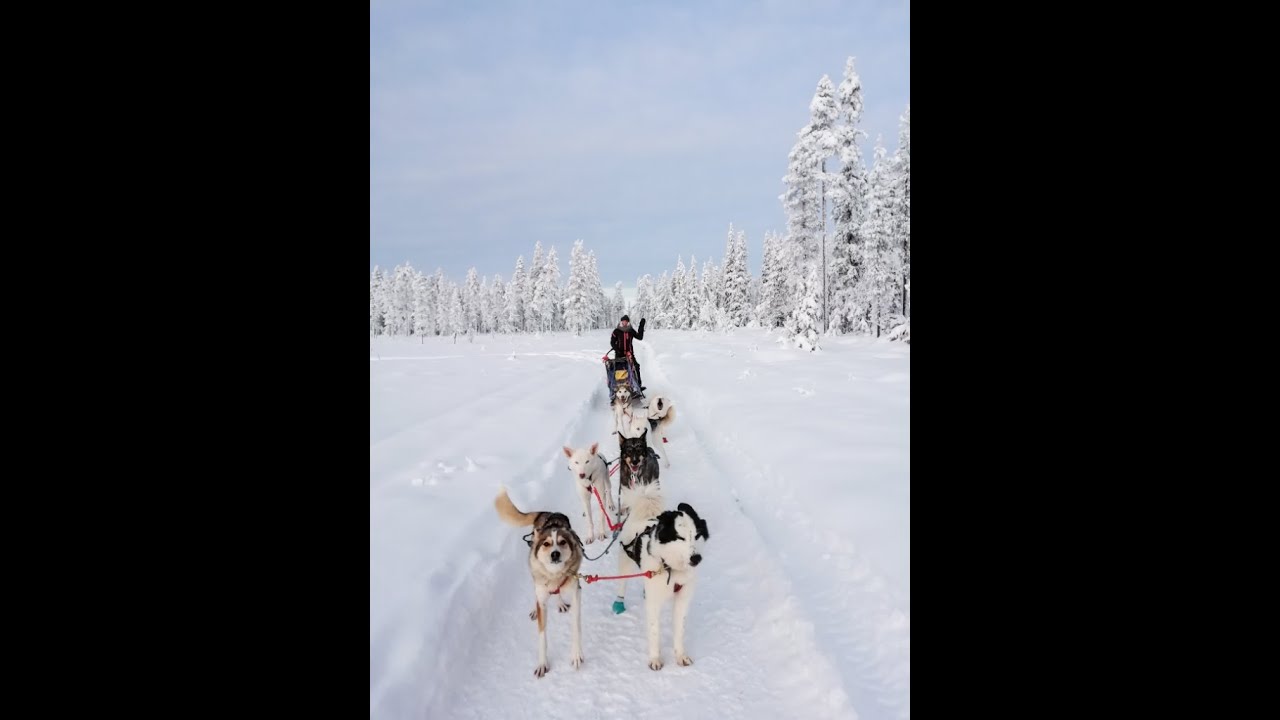 Epic Magic Winter Finnish Lapland (DJI Mavic Pro, Sony A7 iii)
